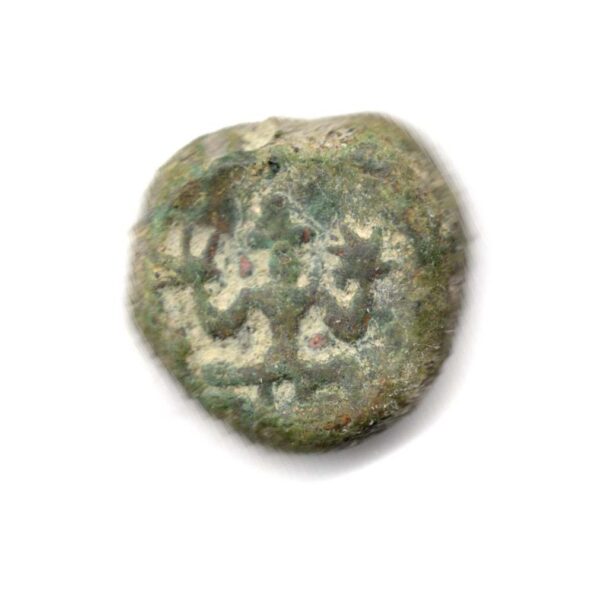 Madurai Nayak Front seated Amman Coin M07