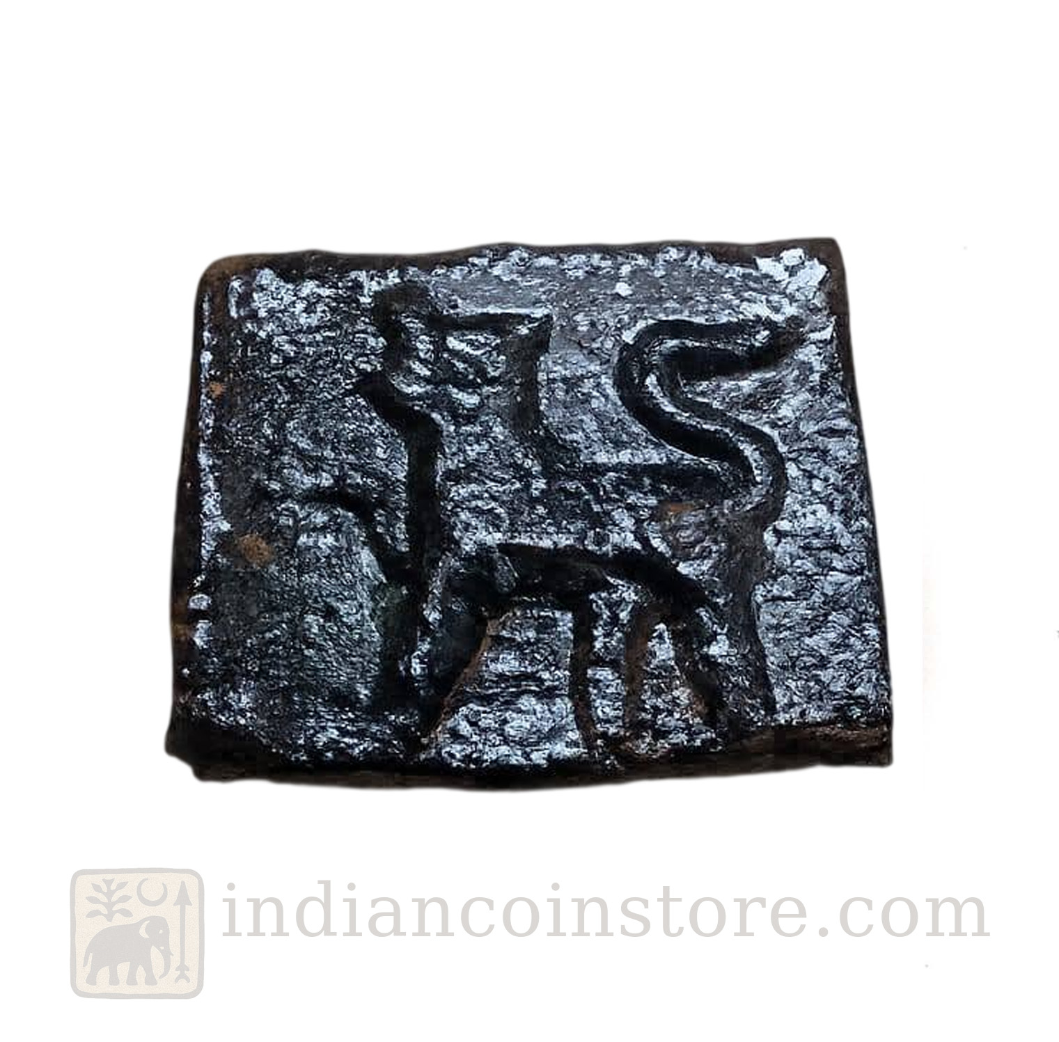 Sangam Chola copper coin showing standing tiger facing left