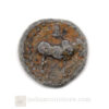 Pallavas of kanchi Bull Coin